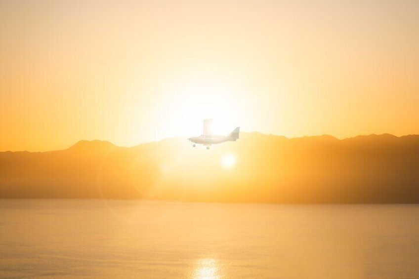 Kaikoura: Whale Watching Flight (Extended)