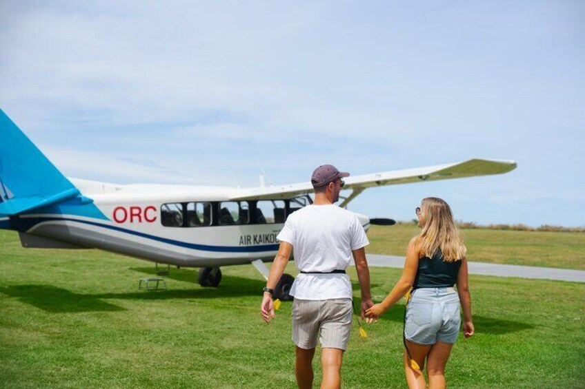 Kaikoura: Whale Watching Flight (Extended)