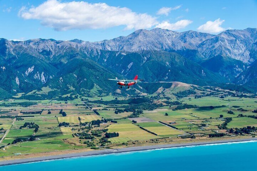 Kaikoura: Whale Watching Flight (Extended)
