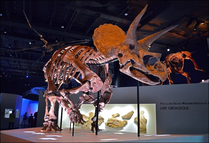 Houston Museum of Natural Science: Ticket with Self-Guided Audio Tour