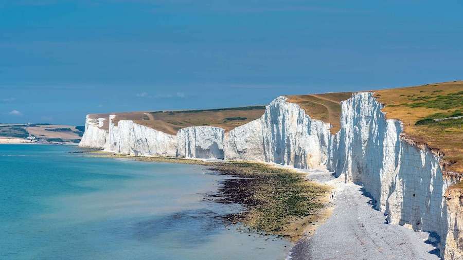 From London: Brighton & Seven Sisters Small-Group Tour