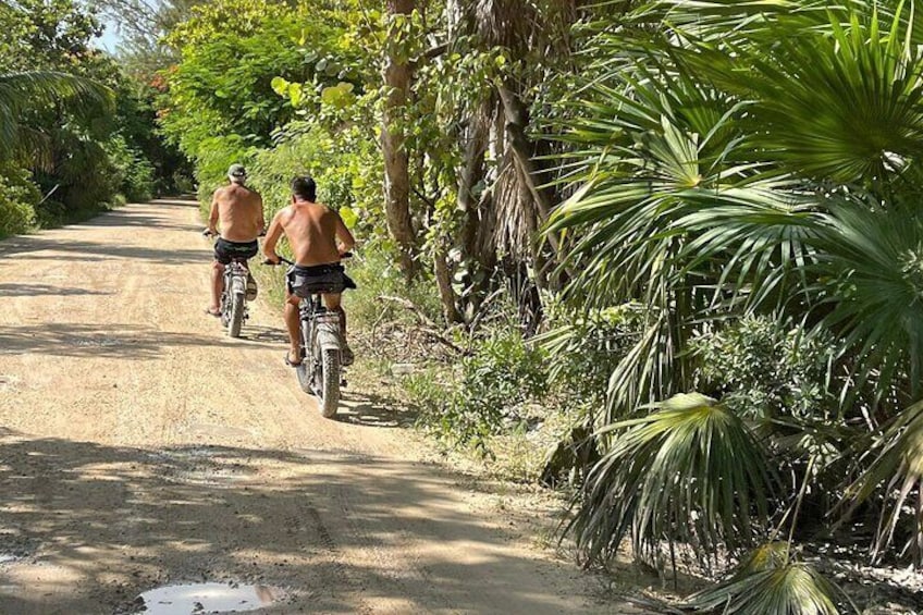 Guided All Day E-Bike Tulum Tour w 3 Cenotes, Snorkeling & Local Lunch