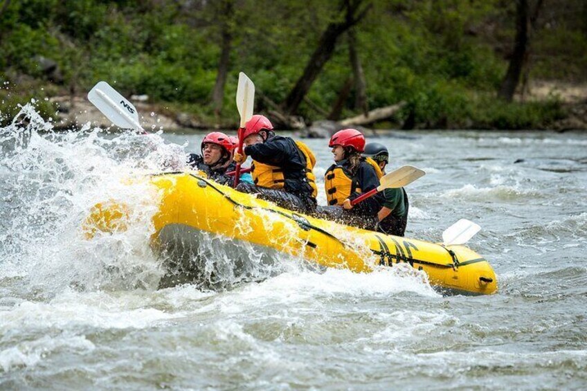 A splashy hit!
