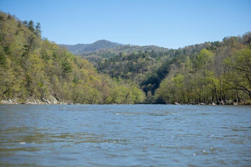 Overlooking Beginner's Rapid!