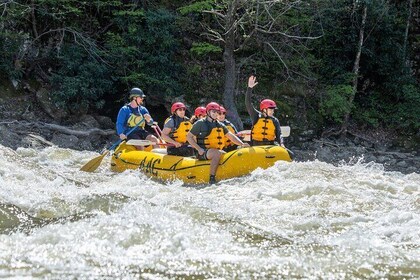 Excursion de rafting en eaux vives dans les larges gorges françaises