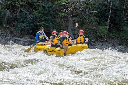 French Broad Gorge wildwaterrafting trip