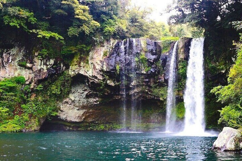 Hiking the Black River Gorges: Full-day with Lunch and Transfer