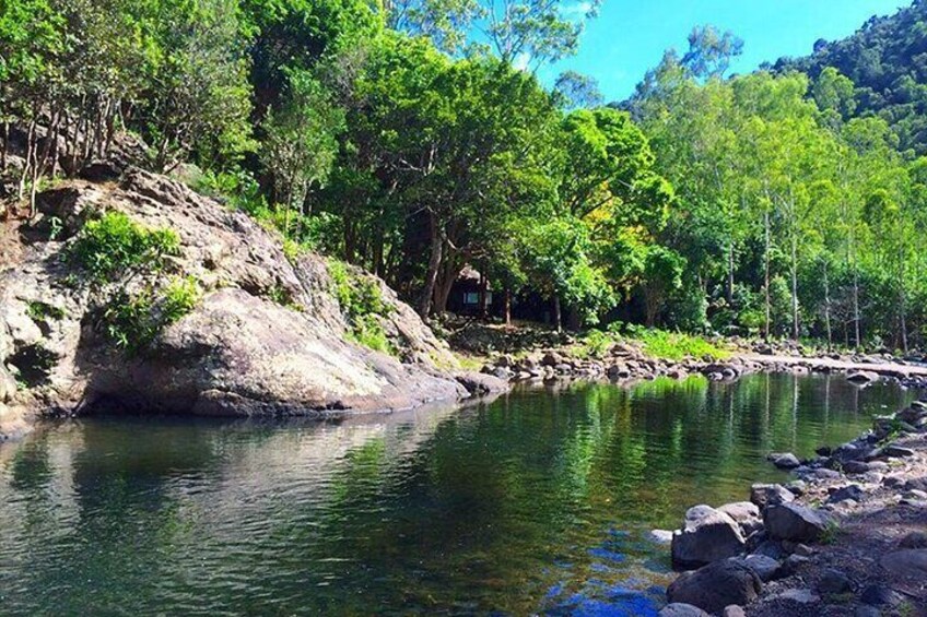 Hiking the Black River Gorges: Full-day with Lunch and Transfer