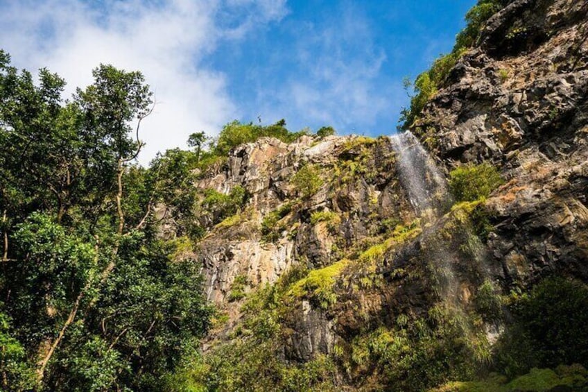 Hiking the Black River Gorges: Full-day with Lunch and Transfer