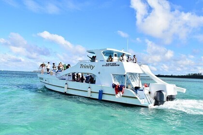 Punta Cana Schnapskreuzfahrt, Schnorcheln, Sandbank mit Unterhaltung