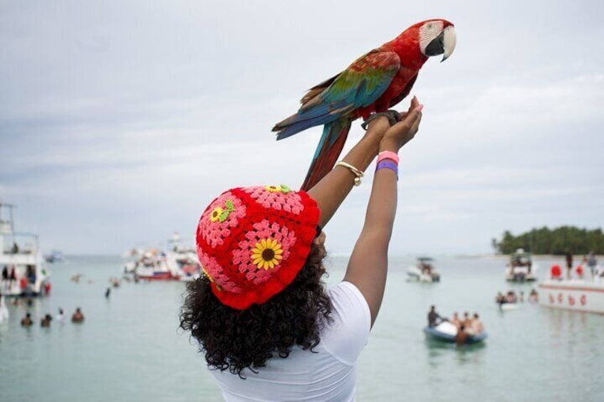 Punta Cana Booze Cruise, Snorkeling, Sand-Bar with Entertainment
