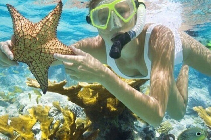Punta Cana Booze Cruise: Snorkeling and Sand-Bar with Entertainment Team