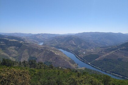 Wine and Wonders: A Tour of the Best of Vinho Verde and Douro