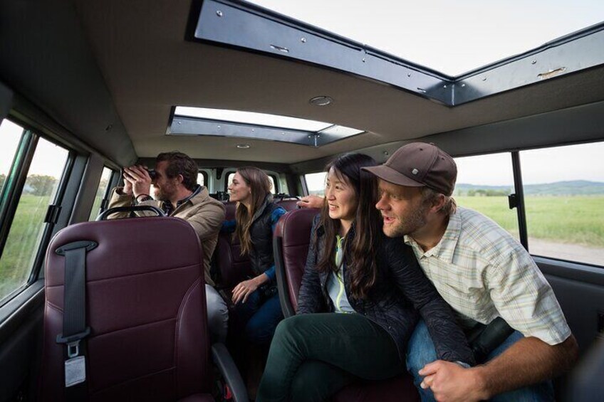 Private Sunset 4-Hour Grand Teton Wildlife Adventure