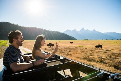 Private Sunset 4-Hour Grand Teton Wildlife Adventure