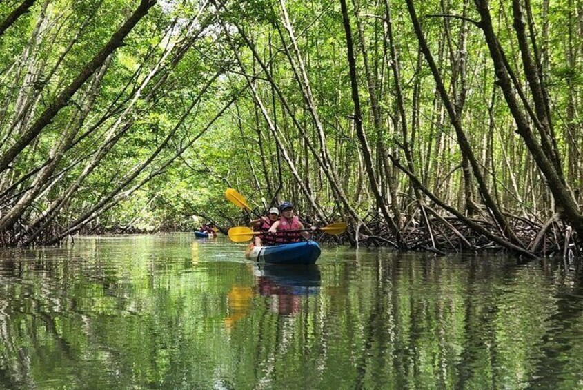 Half Day Kayaking Experience In Ao Thalane
