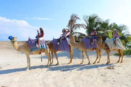 Combo: paravelismo y camello con comida, bebida, transporte y club de playa