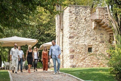 Tour und Verkostung von Bio-Weinen in Lazise