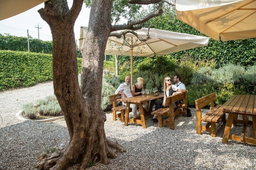 Tour and Tasting of Organic Wines in Lazise