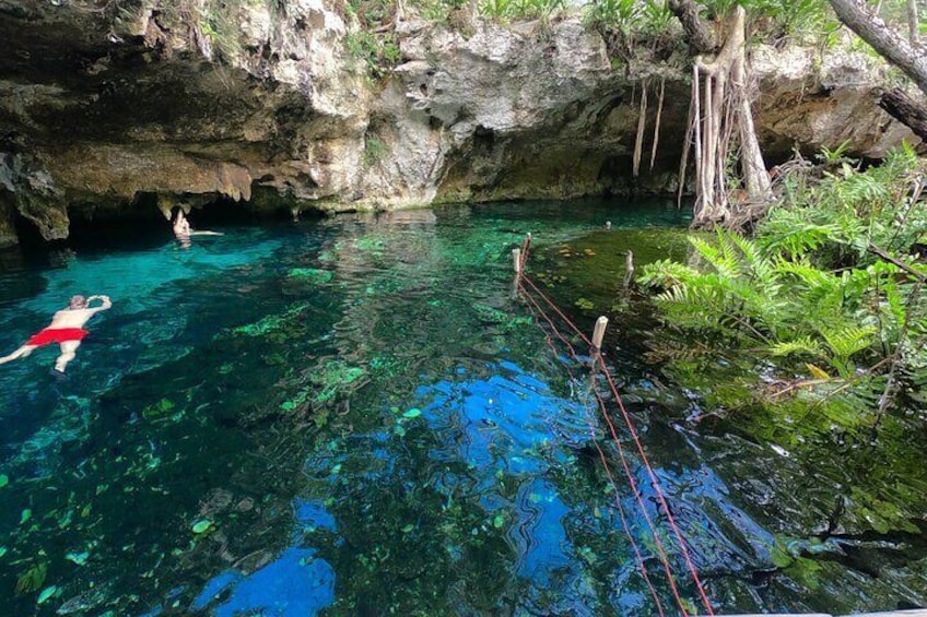 Guided All Day E-Bike + Snorkeling Jungle Tour of Dos Ojos & 2 Centos + Lunch