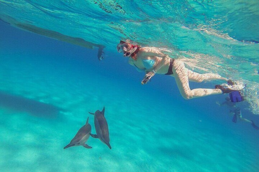 Swimming With Dolphin - Hurghada