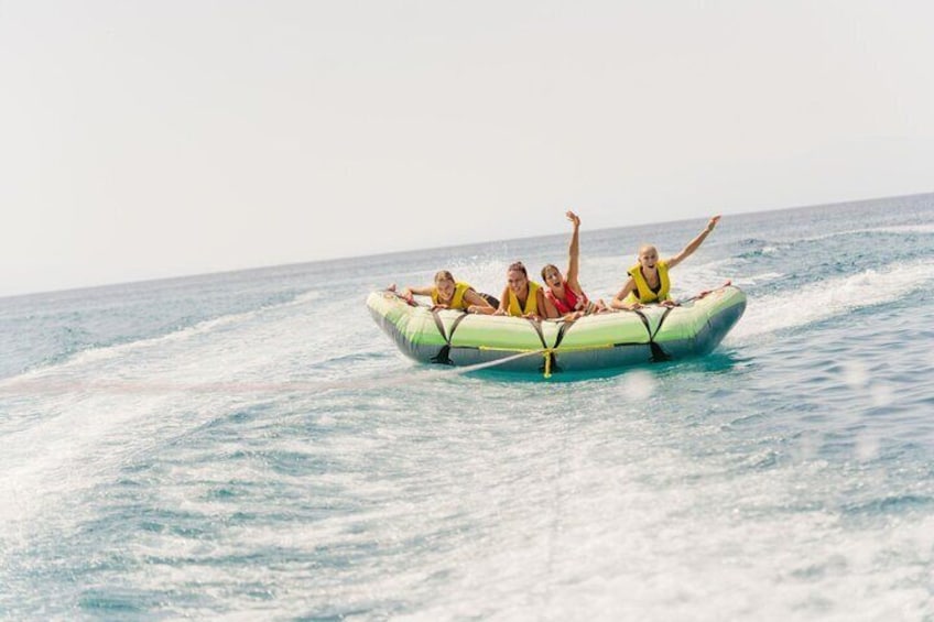 Swimming With Dolphin - Hurghada