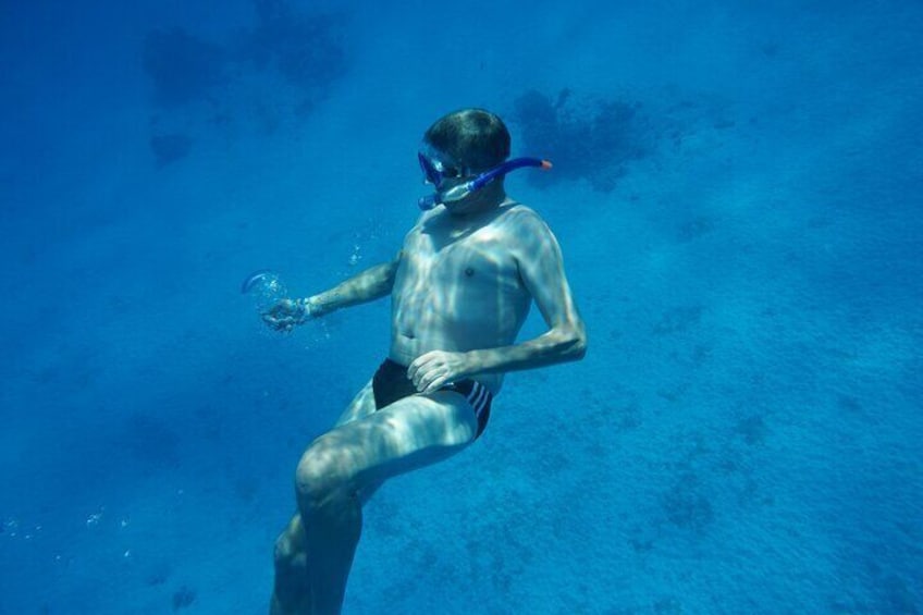 Swimming With Dolphin - Hurghada