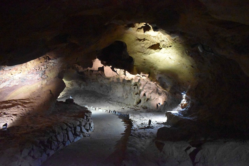 Picture 2 for Activity From Valencia: Caves of San José Guided Excursion and Ticket