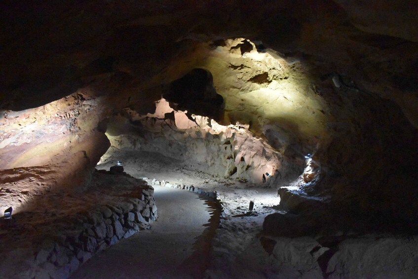 Picture 5 for Activity From Valencia: Caves of San José Guided Excursion and Ticket