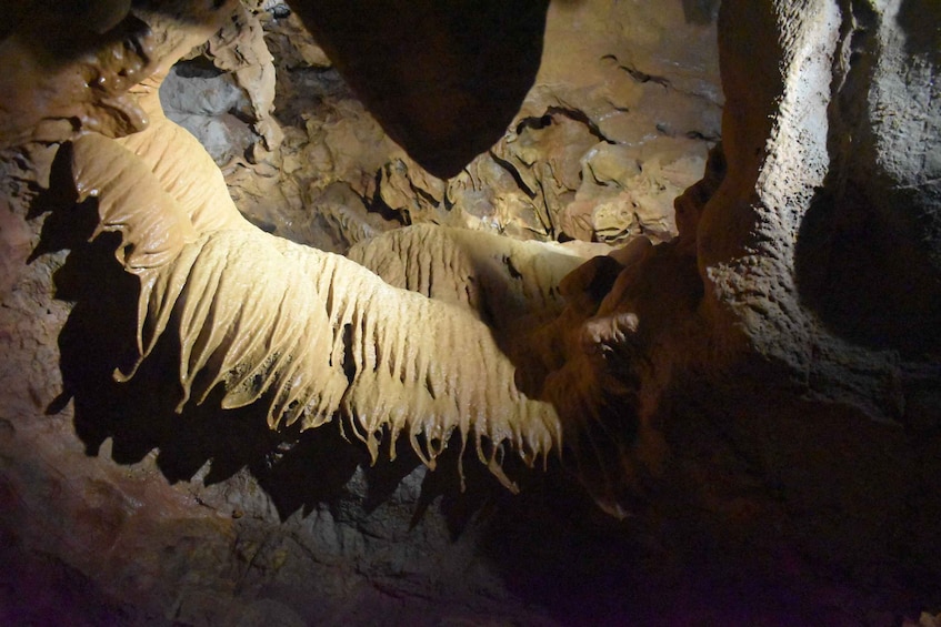 Picture 3 for Activity From Valencia: Caves of San José Guided Excursion and Ticket