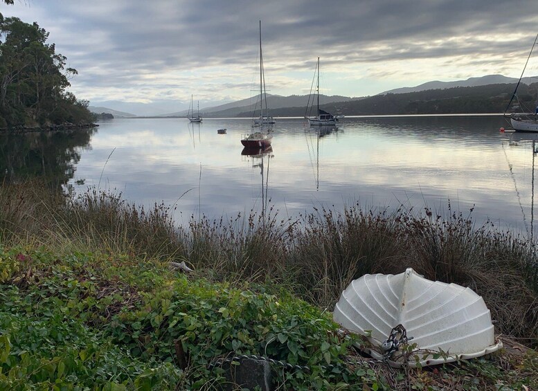 Picture 7 for Activity Hobart: Hastings Caves, Tahune Airwalk, and Huon Valley Tour