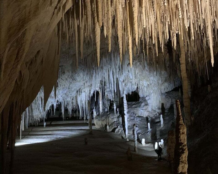 Picture 1 for Activity Hobart: Hastings Caves, Tahune Airwalk, and Huon Valley Tour