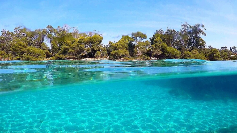 Picture 2 for Activity Cannes: Private Boat Trip to Lerins Islands & Cap d'Antibes