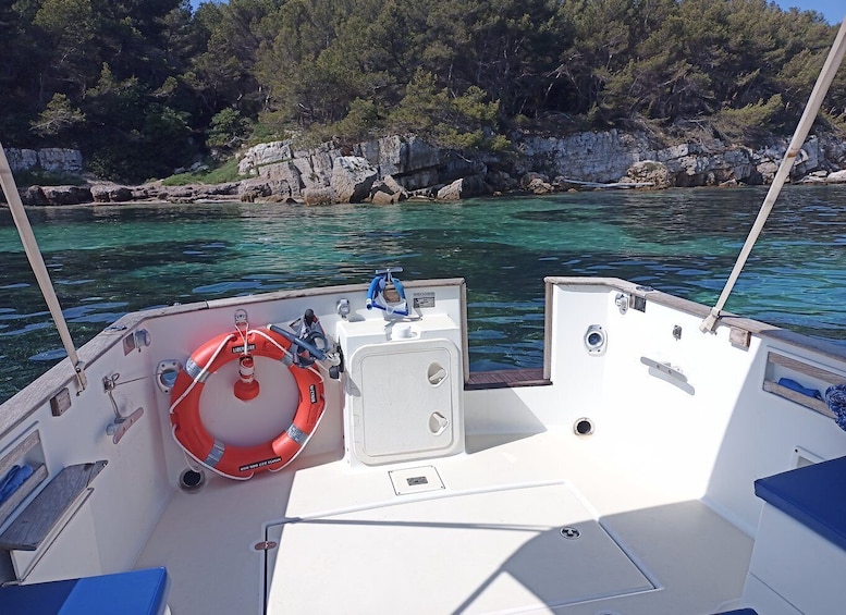 Picture 12 for Activity Cannes: Private Boat Trip to Lerins Islands & Cap d'Antibes
