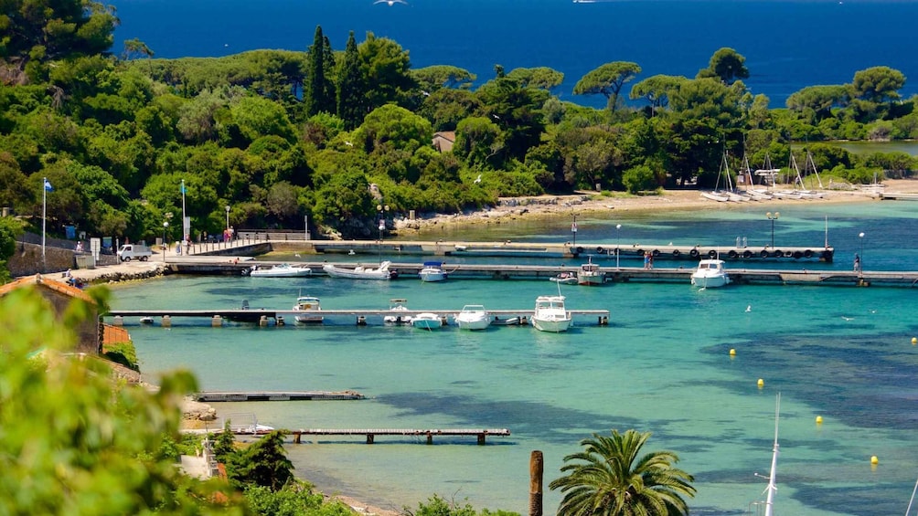 Cannes: Private Boat Trip to Lerins Islands & Cap d'Antibes