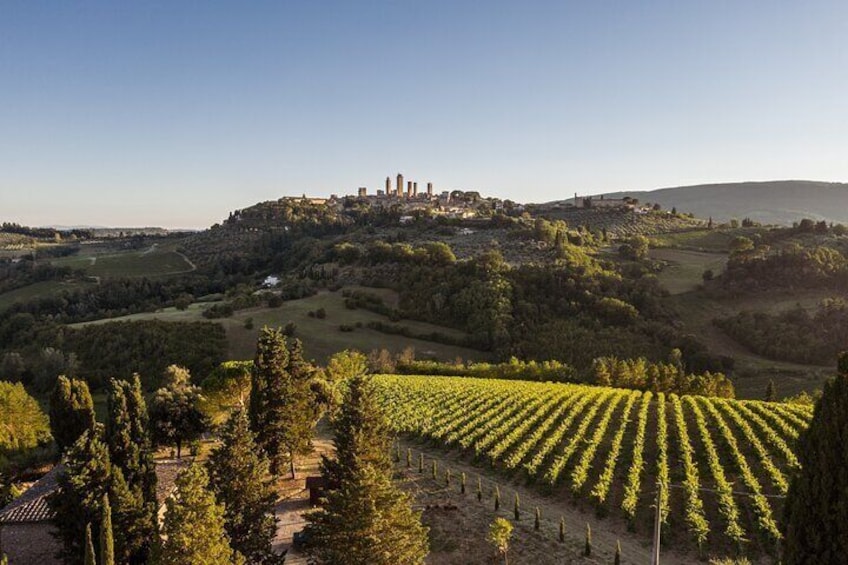 Private 5 Wine Tastings in San Gimignano