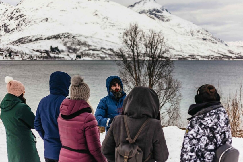 Picture 8 for Activity Tromsø: Arctic Landscape and Fjord Tour with Snacks