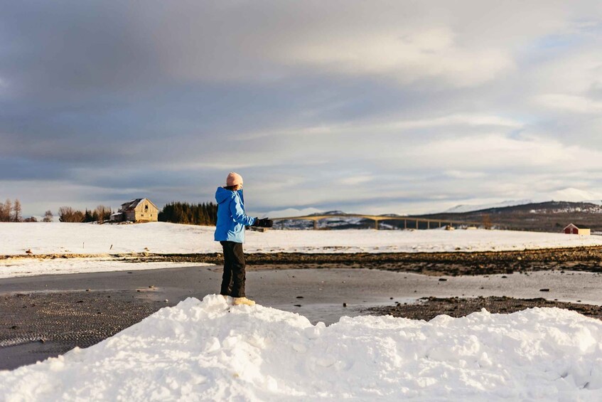 Picture 6 for Activity Tromsø: Arctic Landscape and Fjord Tour with Snacks