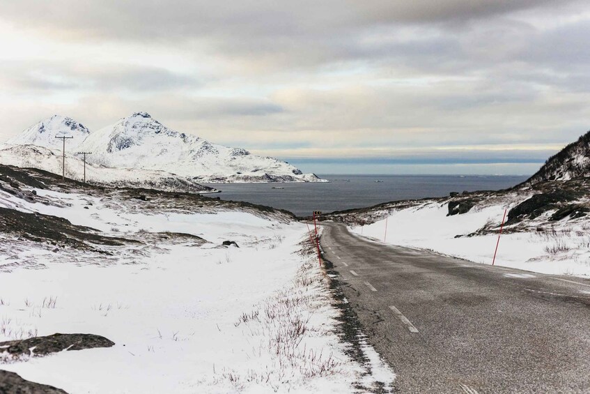 Picture 10 for Activity Tromsø: Arctic Landscape and Fjord Tour with Snacks