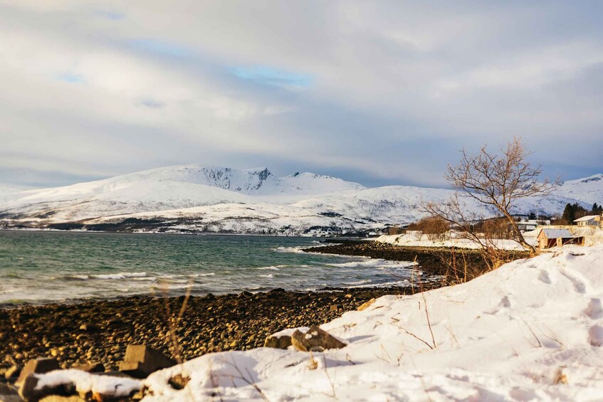 Picture 5 for Activity Tromsø: Arctic Landscape and Fjord Tour with Snacks