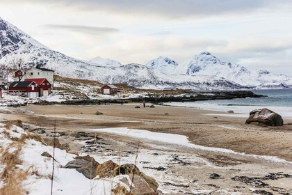 Tromsø : Visite des paysages arctiques et des fjords