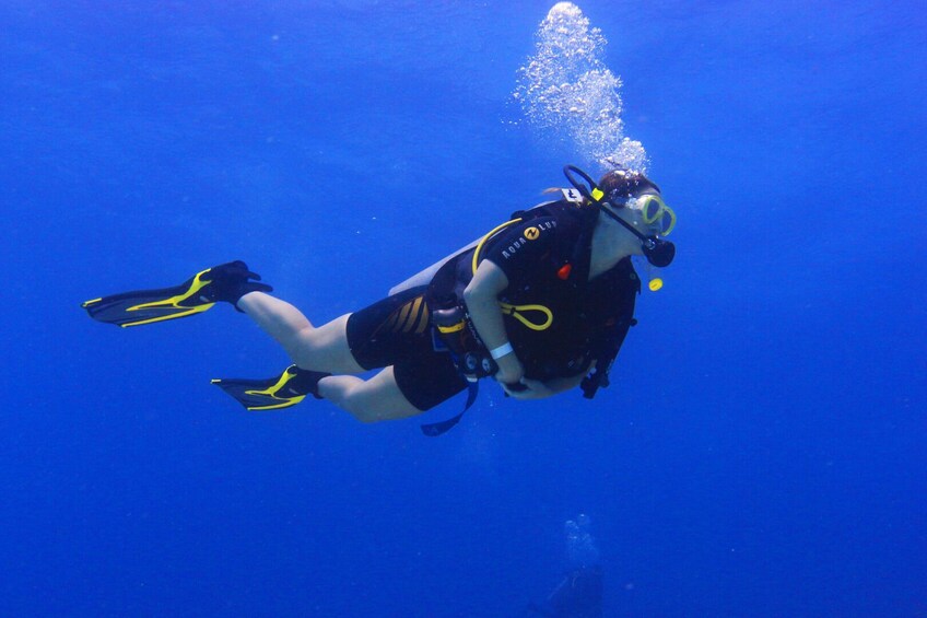 Maroma Beach: Scuba Diver Certification Course