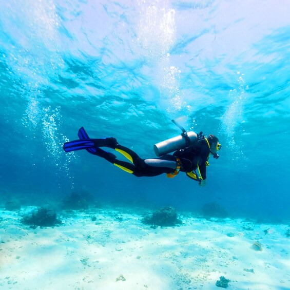 Maroma Beach: Scuba Diver Certification Course