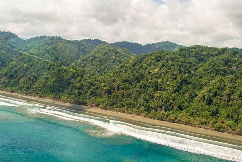30-minute Corcovado National Park Tour by Plane