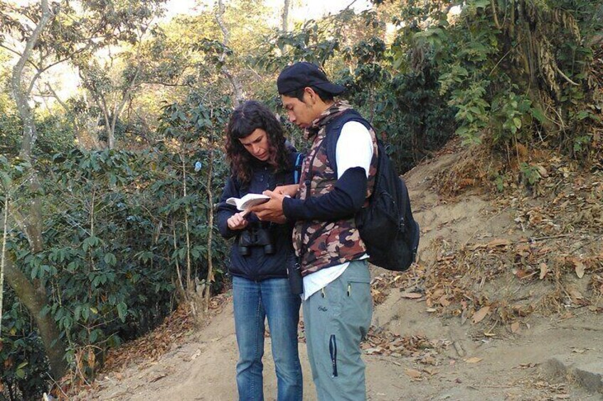 Our tour guide using the field guide to let the client know which species of birds they saw.