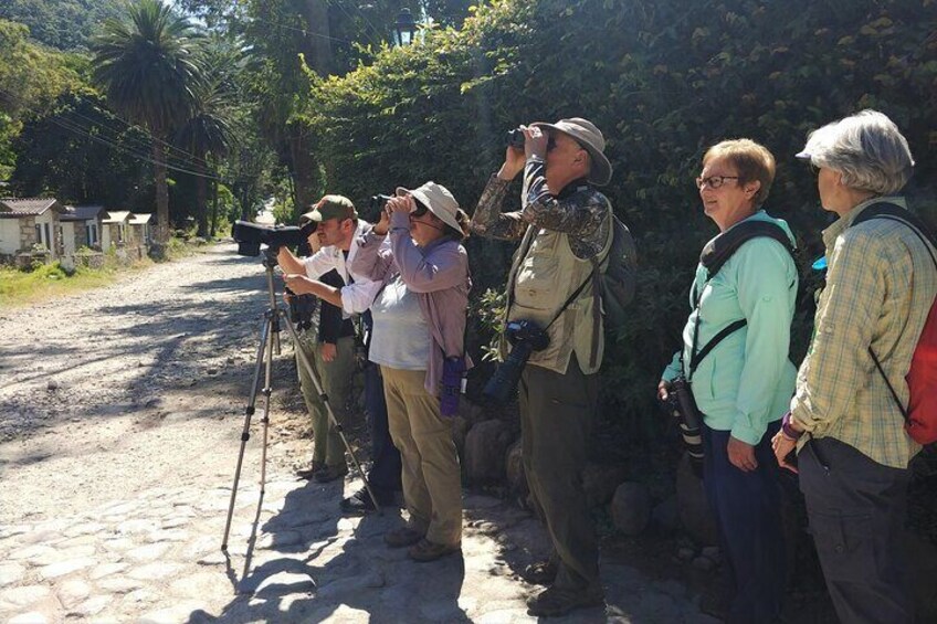 Our clients enjoying watching birds through a scope.