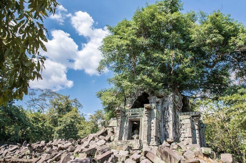 Beng Mealea Temple 