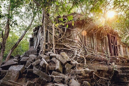 Private Guided Tour from Siem Reap to Beng Mealea Temple