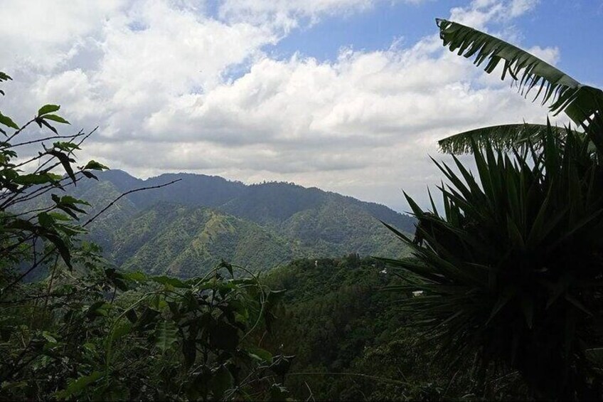 Kingston & Blue Mountain Adventure