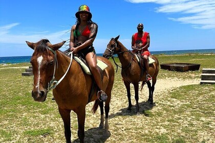 Bamboo Rafting & Horseback Ride n Swim Guided Tour In Montego Bay